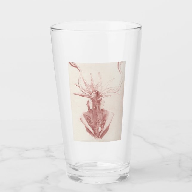 Arte Náutico Vintage Squid (Anverso)