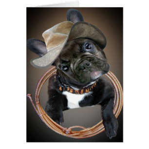 Arte occidental del bulldog francés