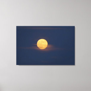 Arte Original Acuarela Claro de Luna Romántico