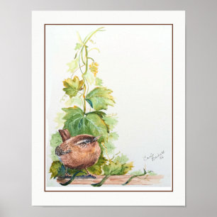 Arte original de acuarela pájaro chochín del Pacíf