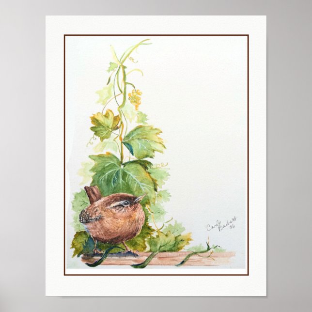 Arte original de acuarela pájaro chochín del Pacíf (Frente)