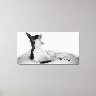 Arte original: Kitsa Diva