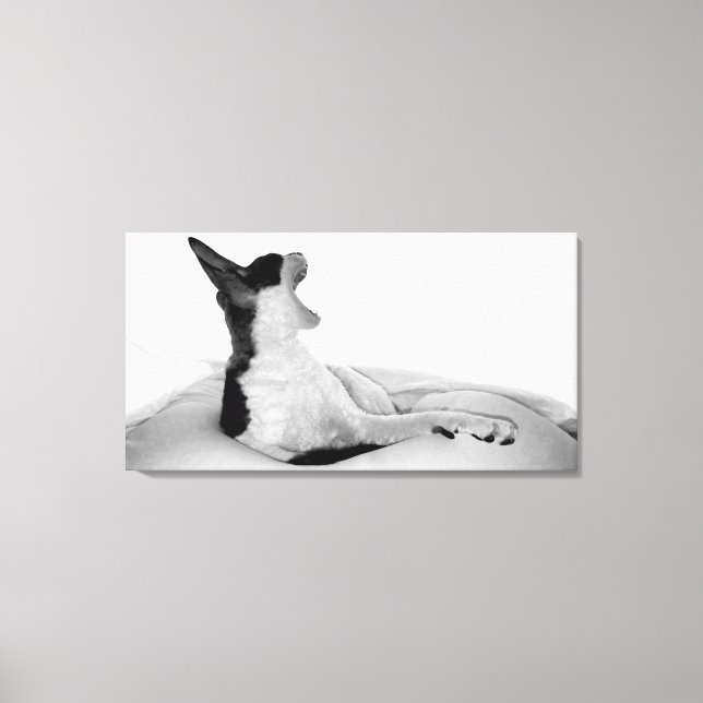 Arte original: Kitsa Diva (Anverso)