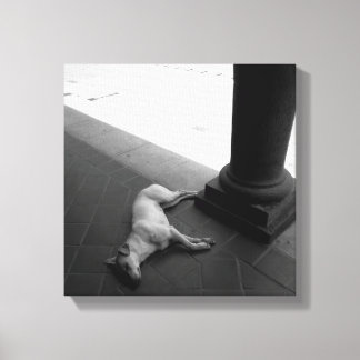 Arte original: "una siesta pacífica a la sombra"