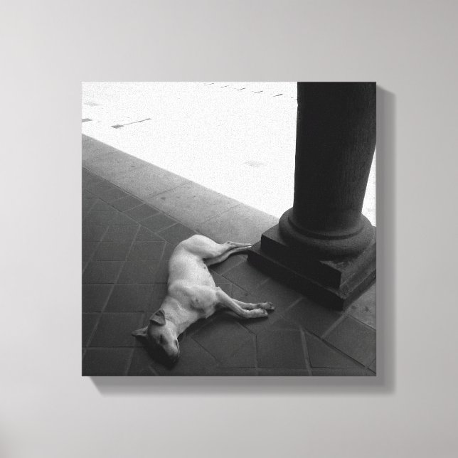 Arte original: "una siesta pacífica a la sombra" (Anverso)