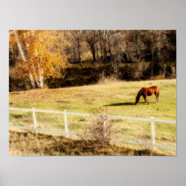 Arte otoñal de un país rústico de caballos