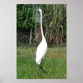 Arte para tus paredes