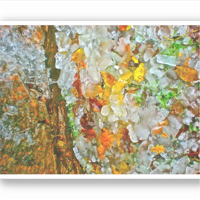 Arte pegatina por naturaleza (Anverso)