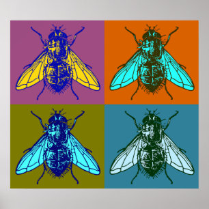 Arte pop de la mosca