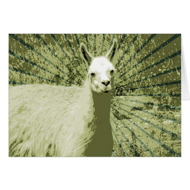 Arte pop de Llama (Anverso (Horizontal))