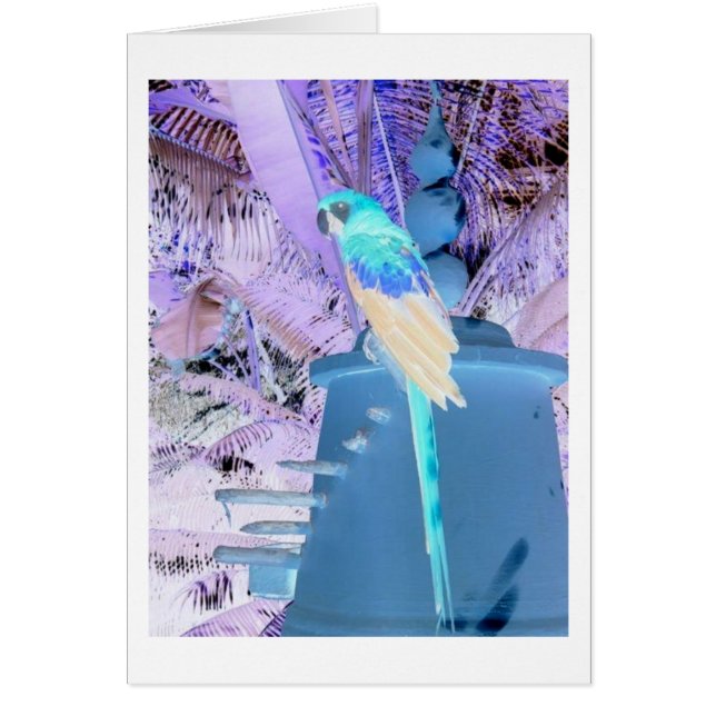 Arte pop de loro (Frente)