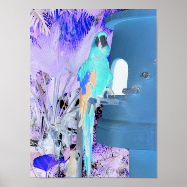 Arte pop de loro (Frente)