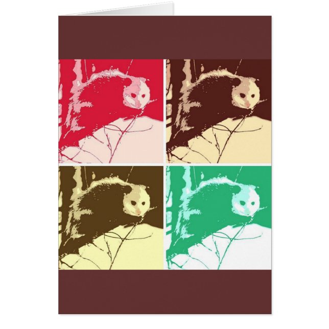 Arte pop opossum (Frente)