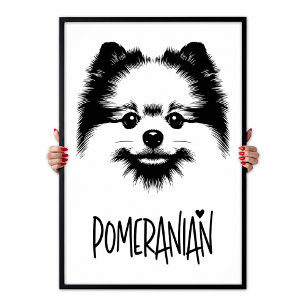 Arte Pop Pomerania Negro y Blanco Estética Chic
