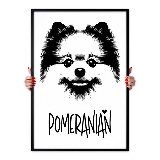Arte Pop Pomerania Negro y Blanco Estética Chic (Pomeranian Pop Art Black & White Chic Aesthetic Poster)