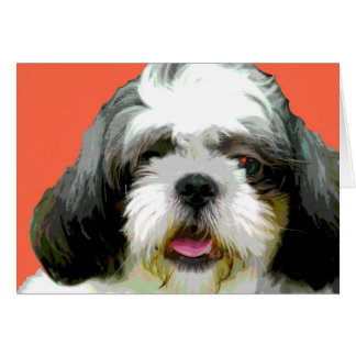 Arte pop Shih Tzu-2