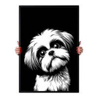 Arte Pop Shih Tzu Blanco & Negro Estética Chic