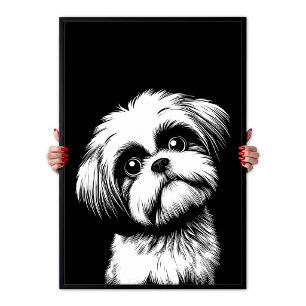 Arte Pop Shih Tzu Blanco & Negro Estética Chic