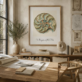 Arte poster de pared de concha de nautilo costero 