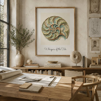 Arte poster de pared de concha de nautilo costero