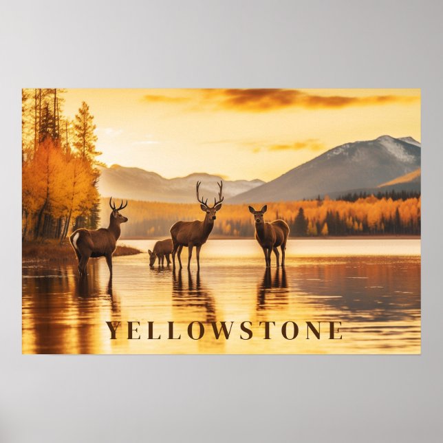 Arte Poster de Yellowstone (Frente)