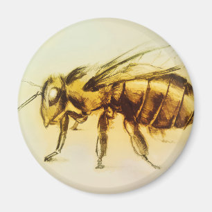 Arte realista del avispón amarillo, imán redondo