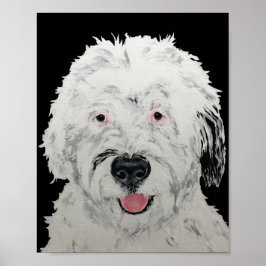 Arte Sheepadoodle