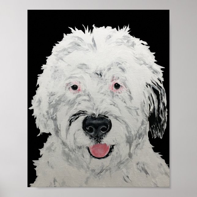 Arte Sheepadoodle (Frente)