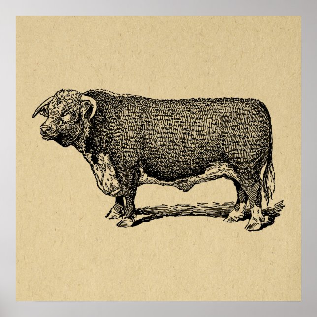 Arte Temático Vintage Bull Country & Farm (Frente)