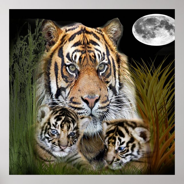 Arte tigre (Frente)