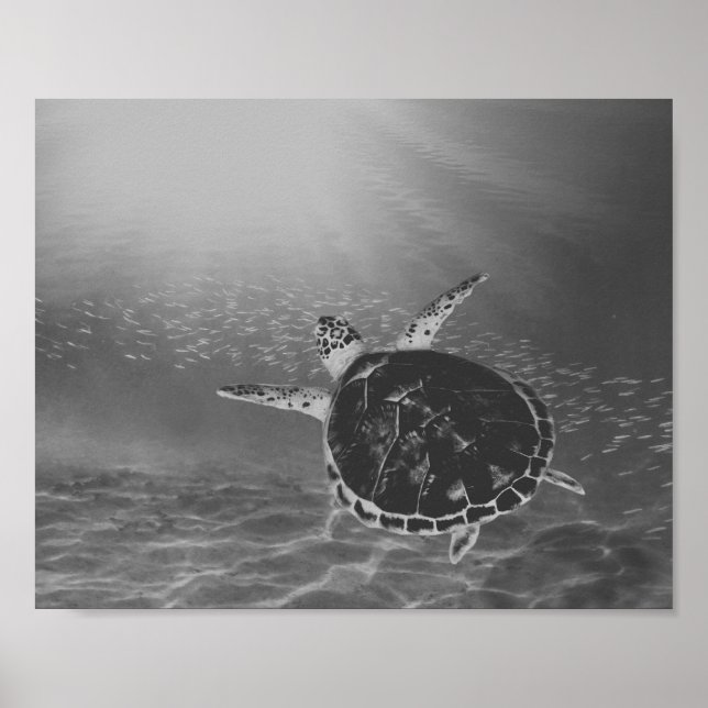 Arte Tropical Imprimible de Tortuga del Mar Negro  (Frente)