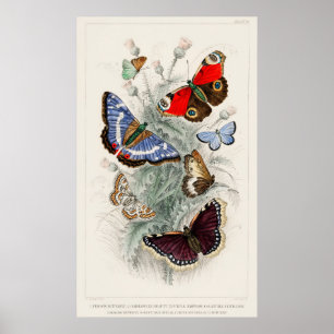 Arte vintage de mariposas
