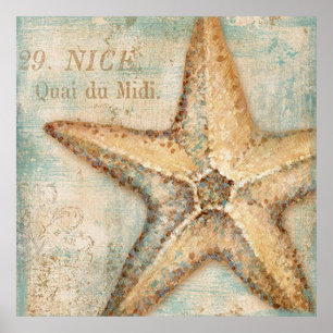 Arte vintage de Starfish francés