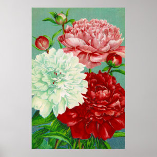 Arte vintage estampa floral de peonías vintage