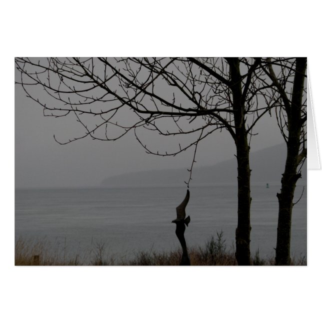 Arte y árbol del pájaro (Anverso (Horizontal))