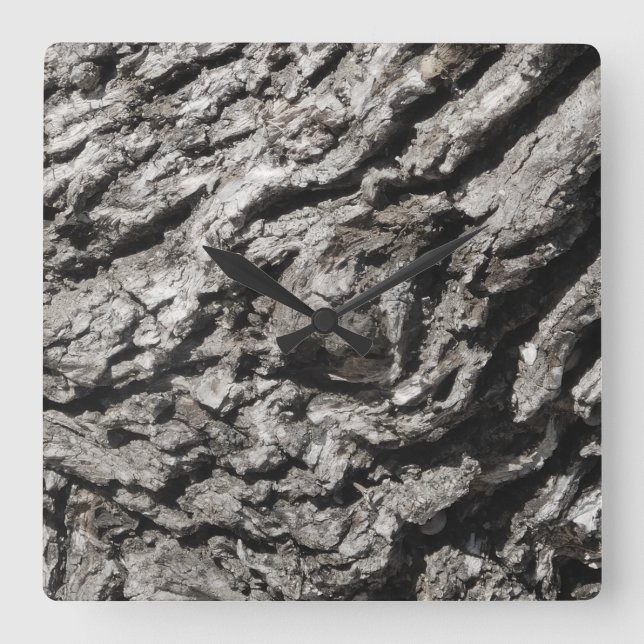 ARTE Y DISEÑO DE RELOJES  (Anverso)