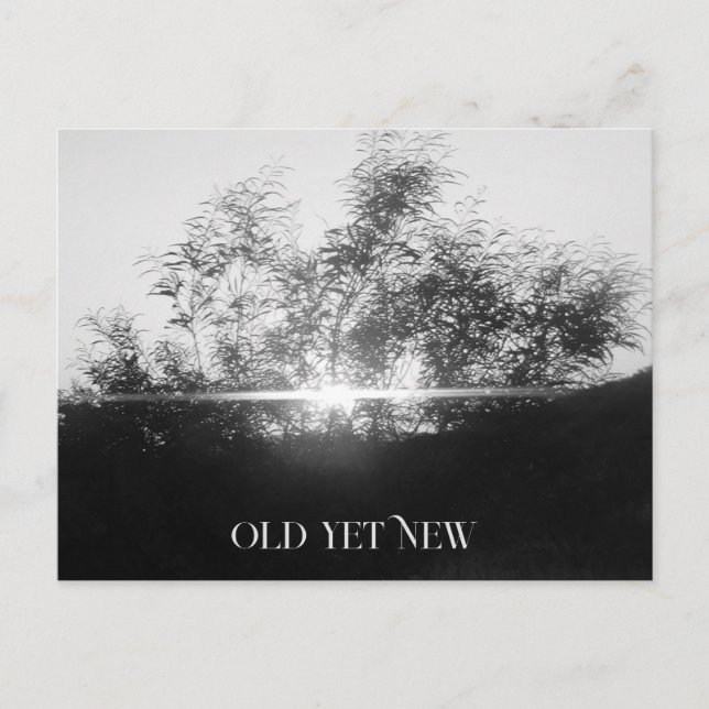 ARTE Y DISEÑO DE TARJETAS POST (Anverso)