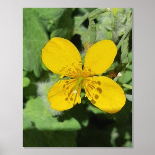 ARTE Y DISEÑO POSTER DE IMPRESIÓN DE Relieve metal (Anverso)