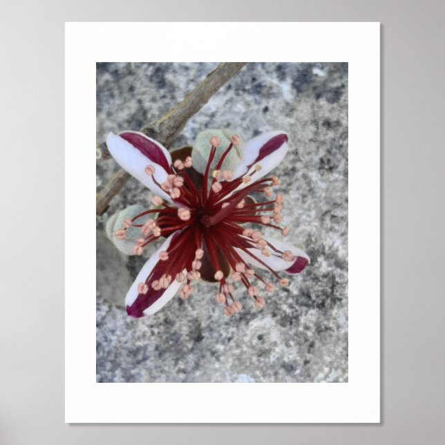 ARTE Y DISEÑO POSTER DE IMPRESIÓN DE Relieve metal (Anverso)