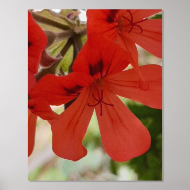 ARTE Y DISEÑO POSTER DE IMPRESIÓN DE Relieve metal (Anverso)