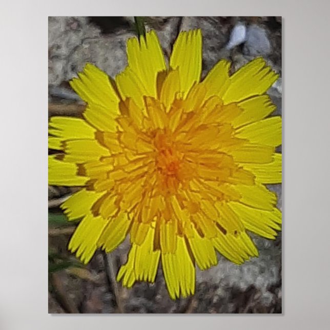 ARTE Y DISEÑO POSTER DE IMPRESIÓN DE Relieve metal (Anverso)