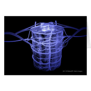 Arterias que rodean la parte de la columna espinal