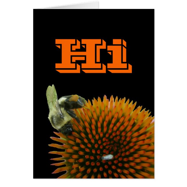 Artículos de Abeja de Carpintero Oriental (Frente)