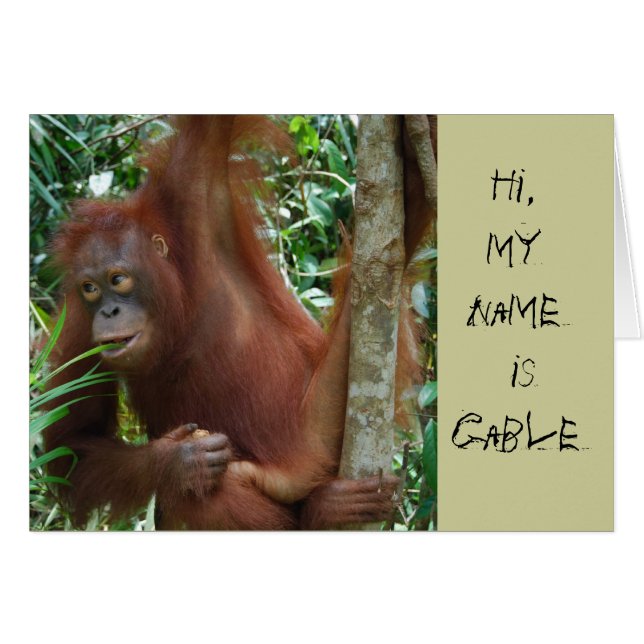 Artistas animales (Anverso (Horizontal))