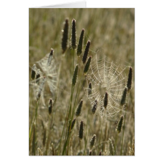 Artistas de la naturaleza