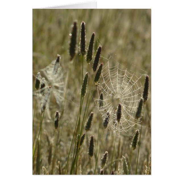 Artistas de la naturaleza (Frente)