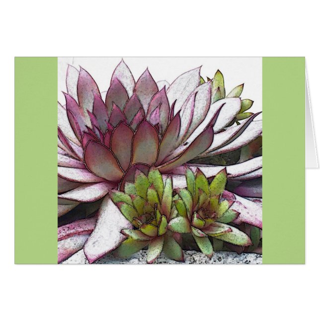 Artsy Hens y Chicks (Anverso (Horizontal))