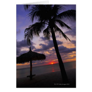 Aruba, silueta de palmera y palapa