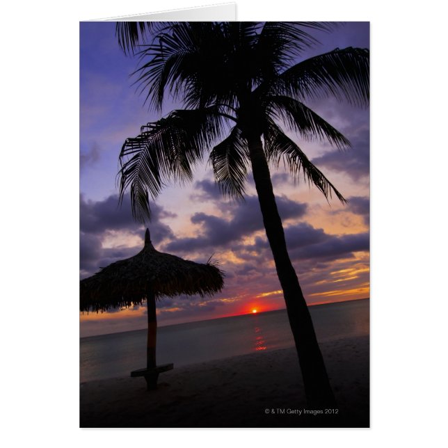Aruba, silueta de palmera y palapa (Frente)