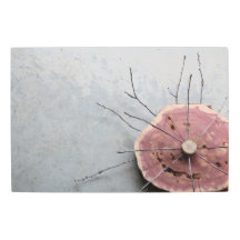 Asamblea del Cedro Rojo Oriental Oblique de arte e